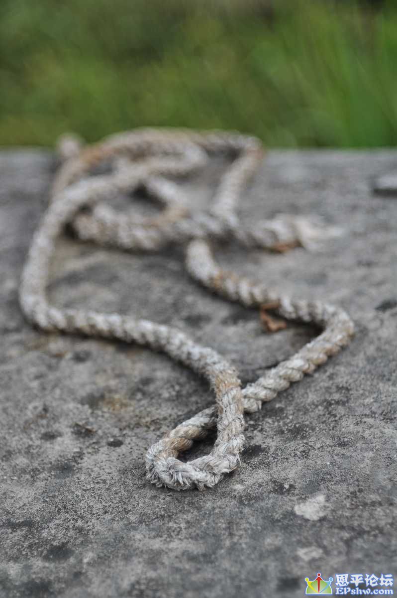 DSC_0362.JPG