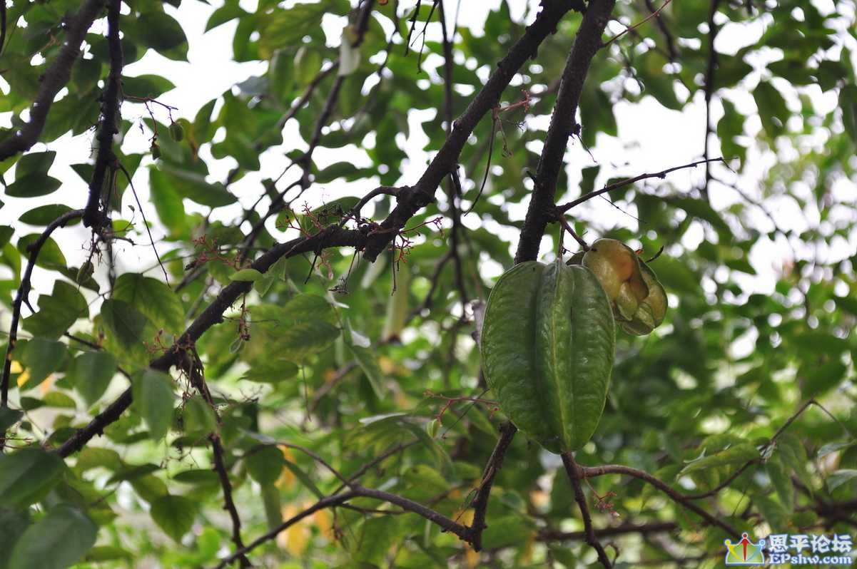 DSC_0405.JPG