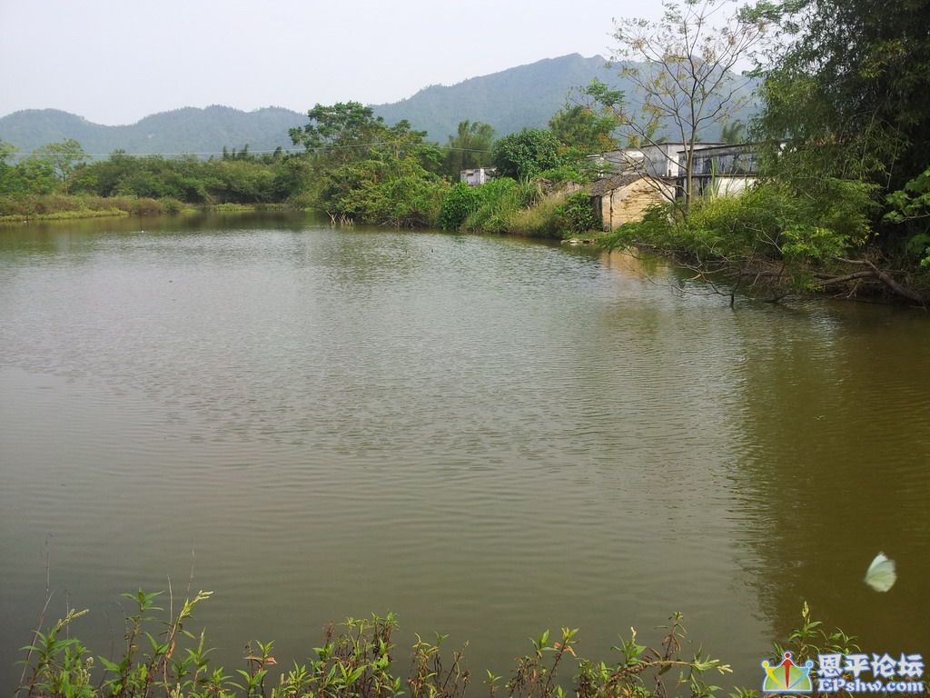 07.jpg