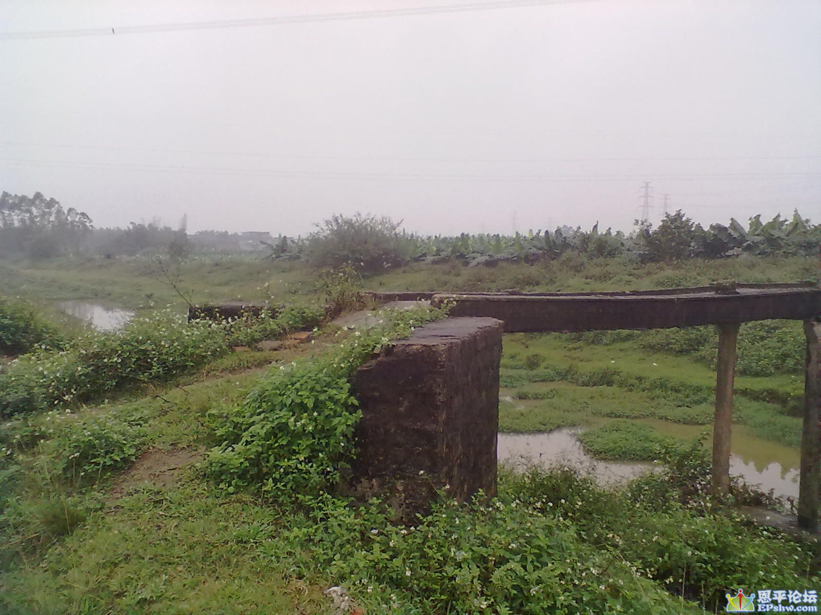 11242012681.jpg