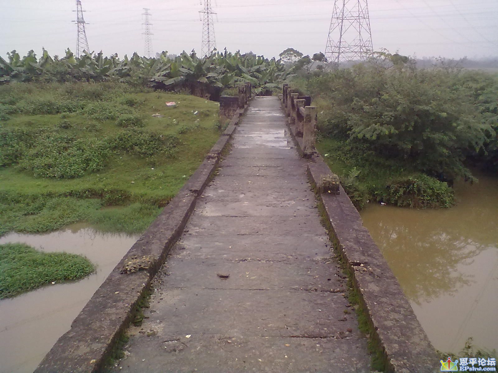 11242012682.jpg