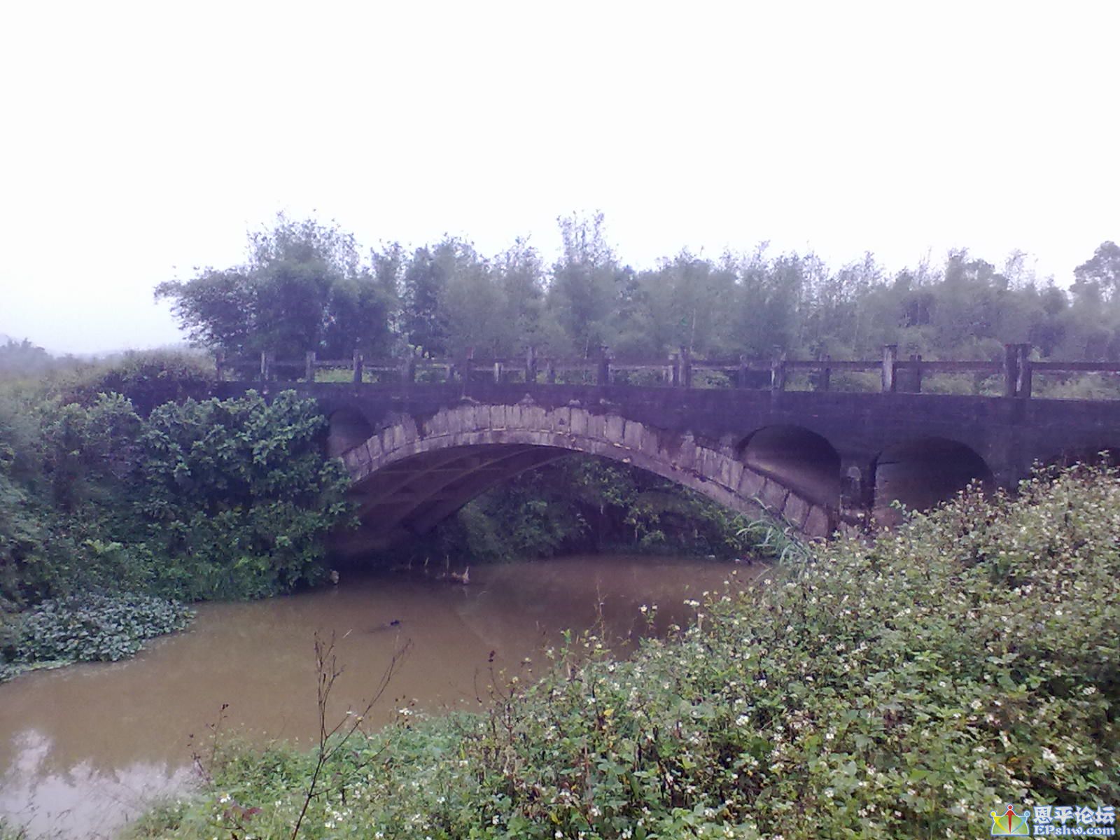 11242012692.jpg