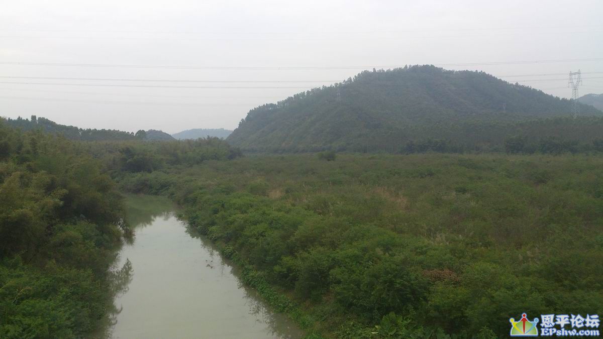 С DSC_0031.jpg