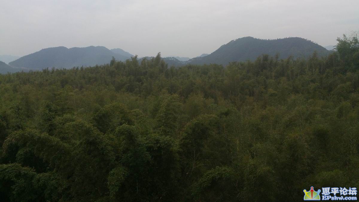 С DSC_0037.jpg