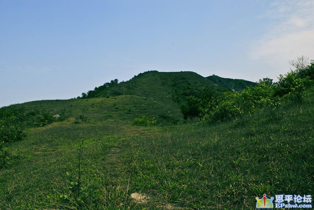 DSC_0048_nEO_IMG.jpg