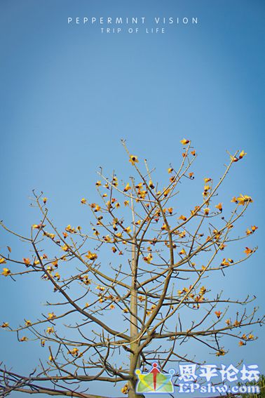 IMG_7201.jpg