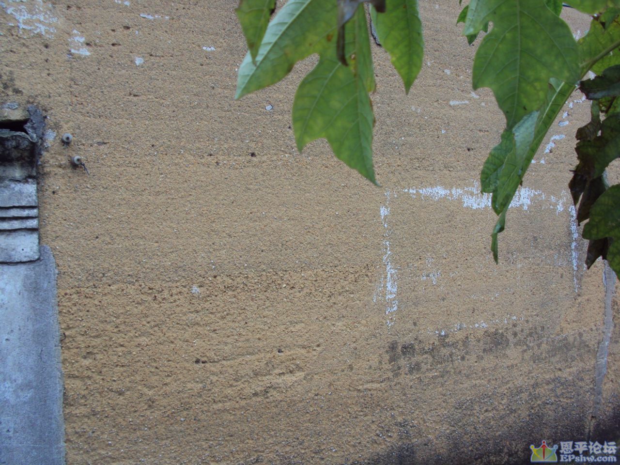 aec379310a55b3193ec7917143a98226cffc17f3.jpg