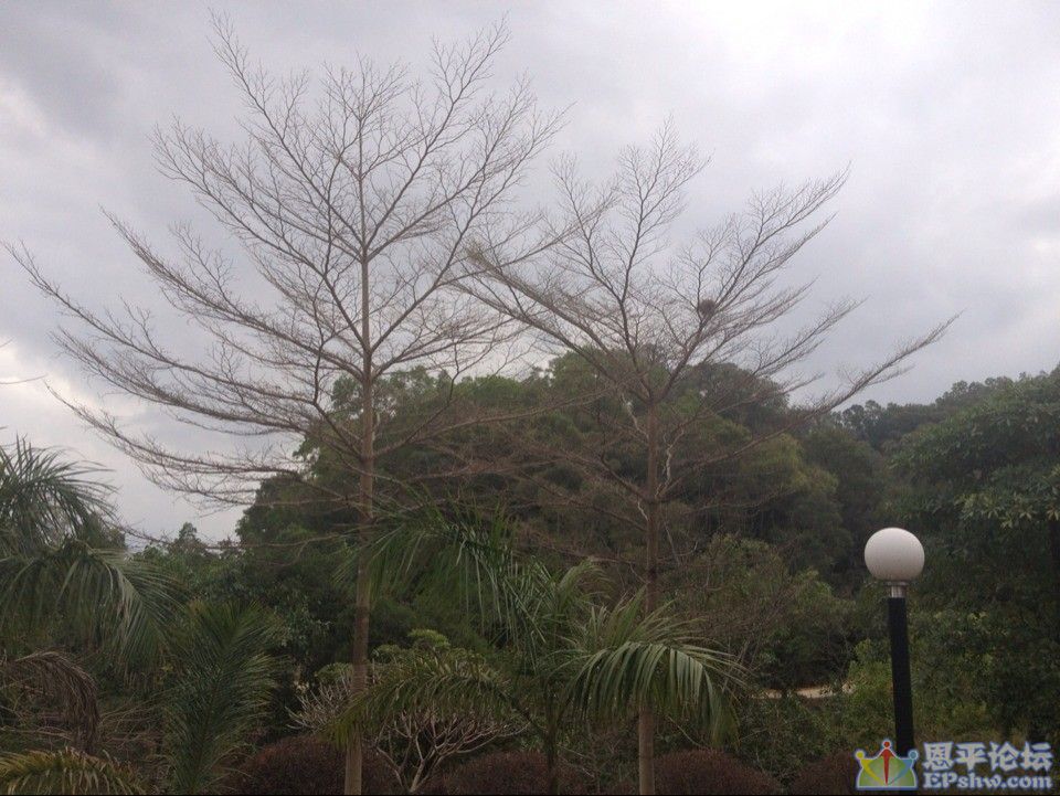 QQͼƬ20140213173715.jpg