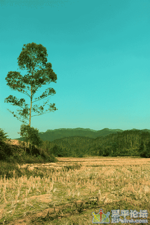 Ƭ-020.gif