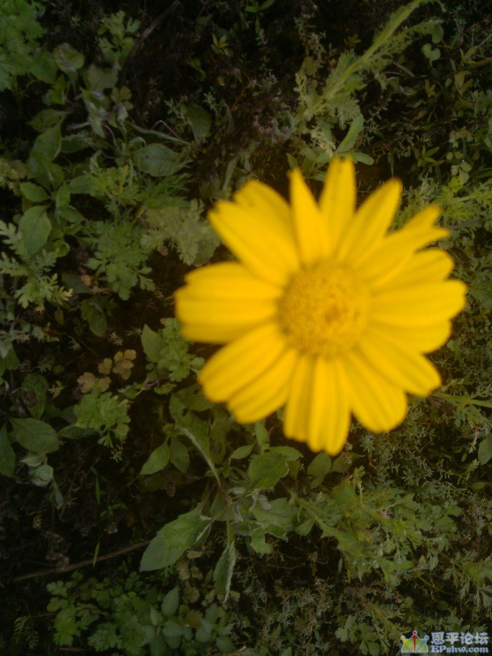 WP_000611.jpg