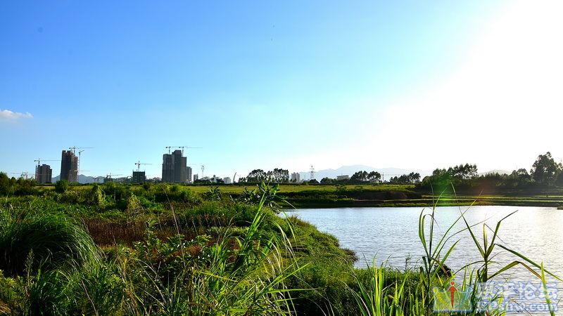 DSC_5905.JPG