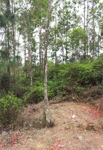 δ-1.jpg