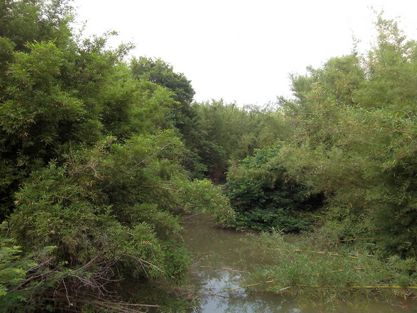 IMG_20150428_162419.jpg