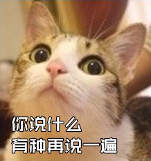 003713hzu9qg9wbgvwju89.jpg