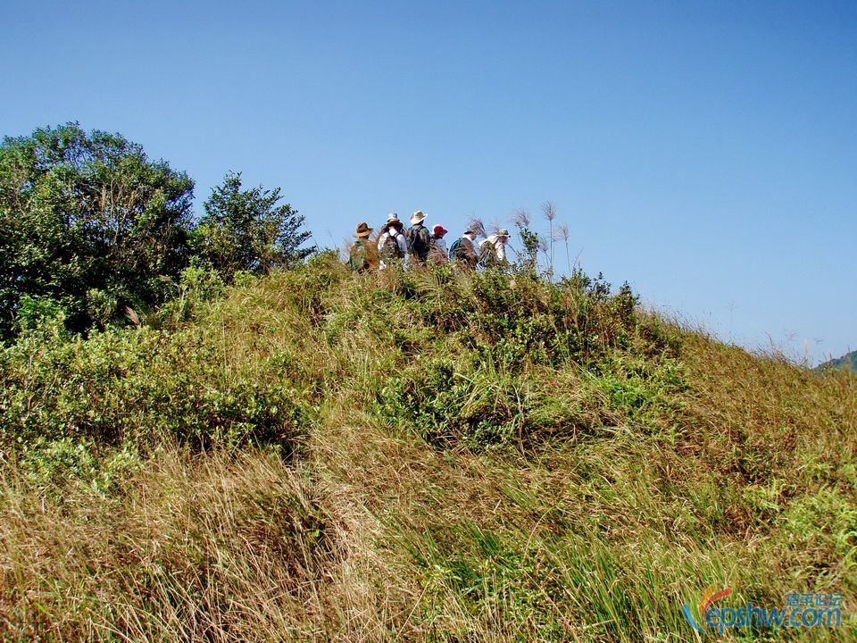 PA180220.JPG