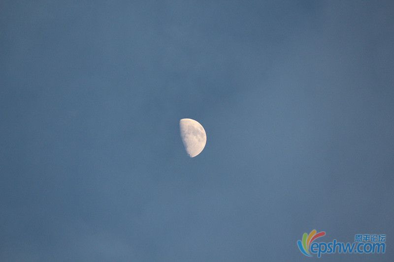 IMG_8919_.jpg