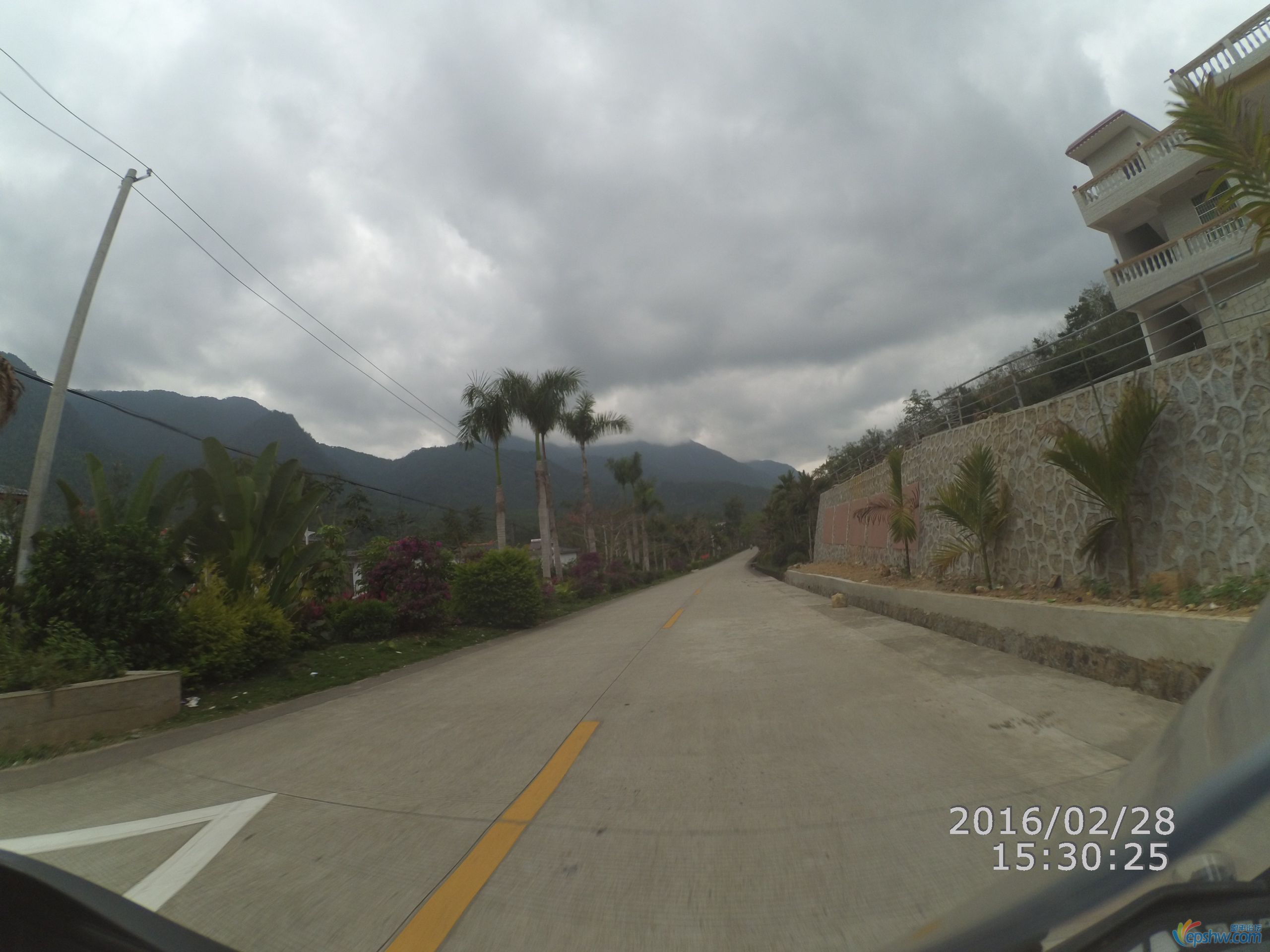 YDXJ0278.jpg