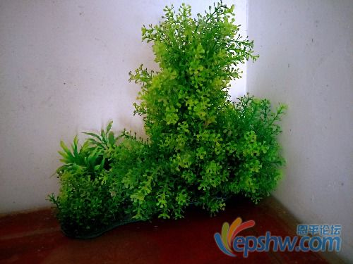 IMG20190713152559_mh1563079953894.jpg