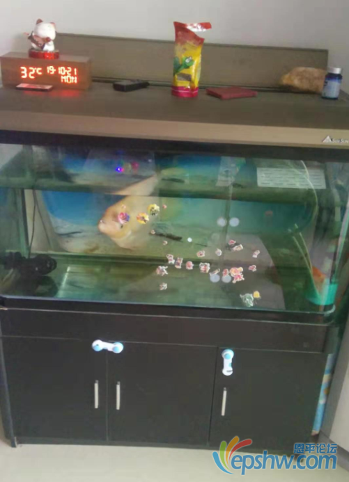 18.png