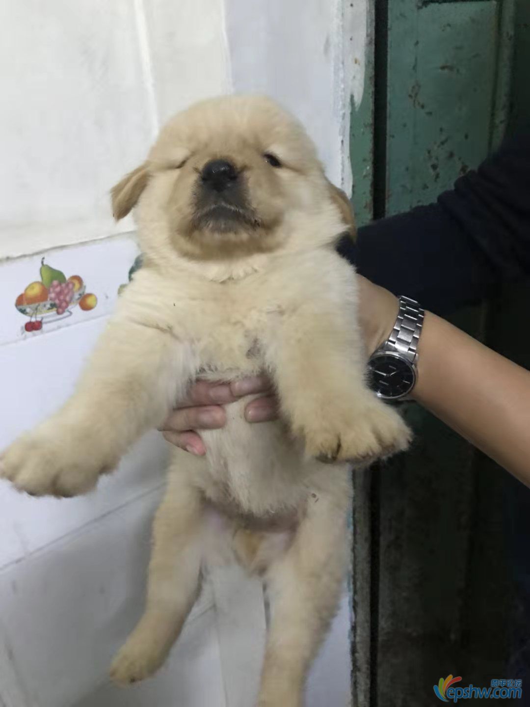 微信图片_202001080904003.jpg