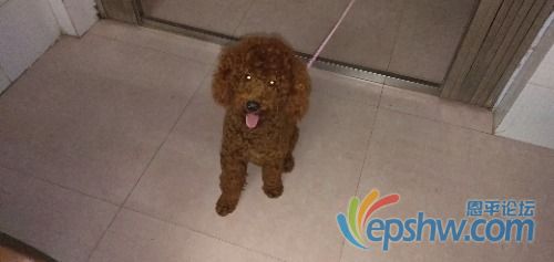 IMG20201212225515.jpg
