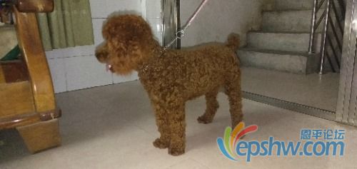IMG20201212225539.jpg