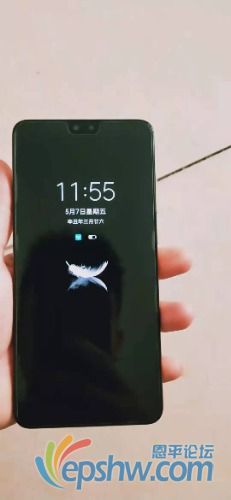 mmexport1620588696969.jpg