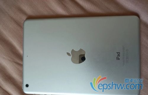 53107473994701.jpg