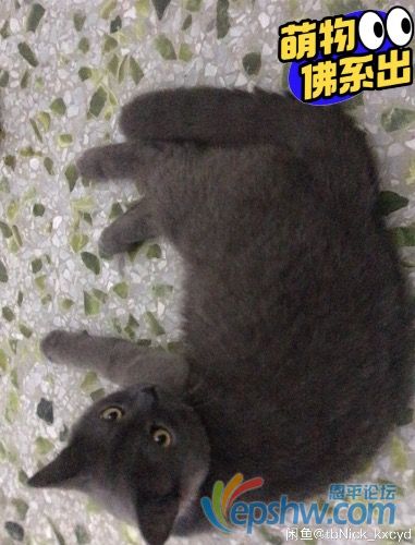 199C74DD-6348-47F6-A14F-83A72CE0DB96.jpeg