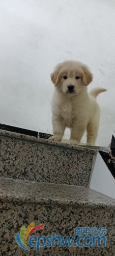 wx_camera_1649255347081.jpg