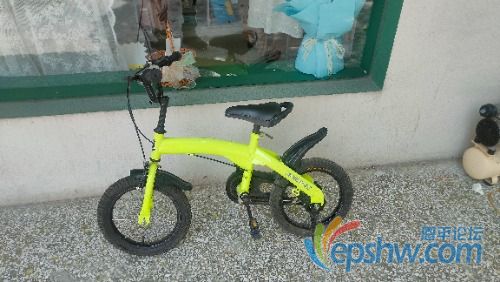 IMG20240919114743.jpg