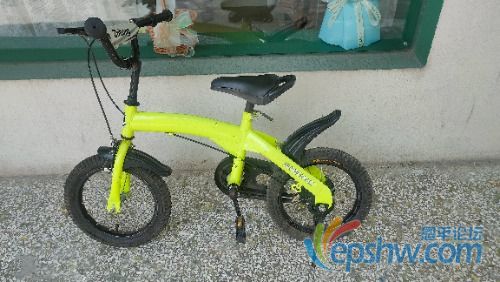 IMG20240919114737.jpg