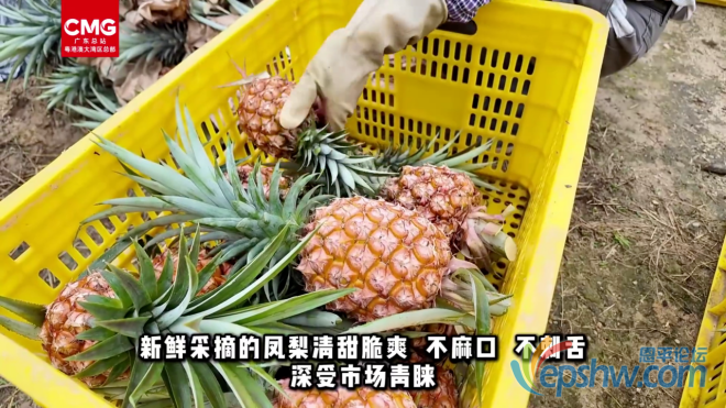 4.png