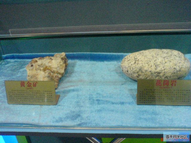 DSC00733.JPG