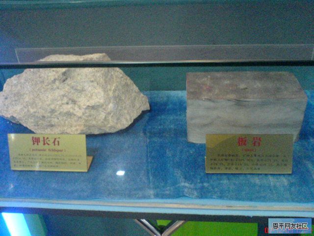 DSC00732.JPG