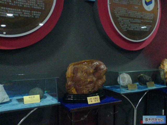 DSC00742.JPG