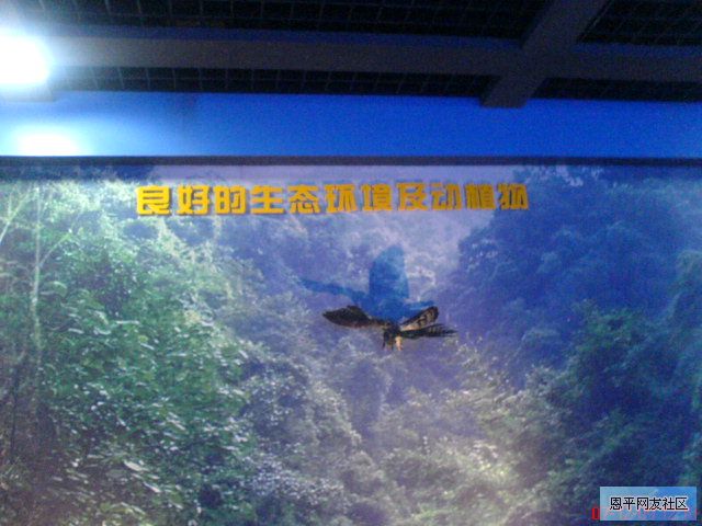 DSC00737.JPG
