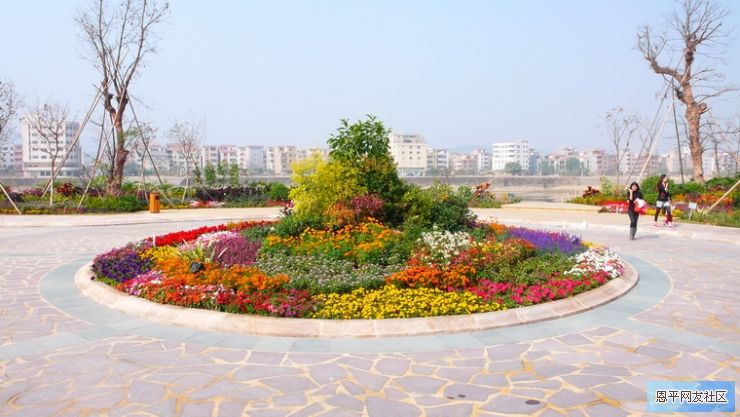 Ƭ 219.jpg