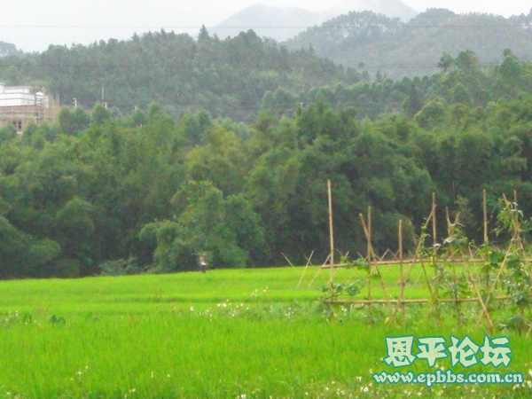 CIMG5012.JPG