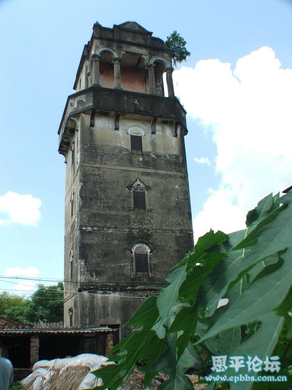 DSCF0804.JPG