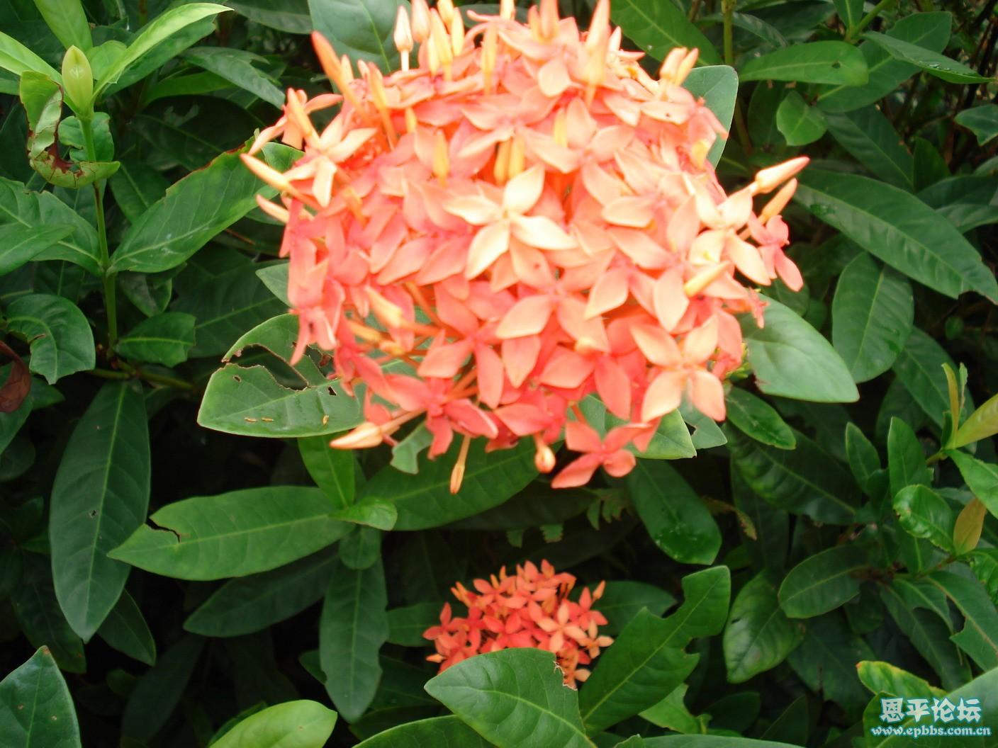 DSC03572_С.JPG