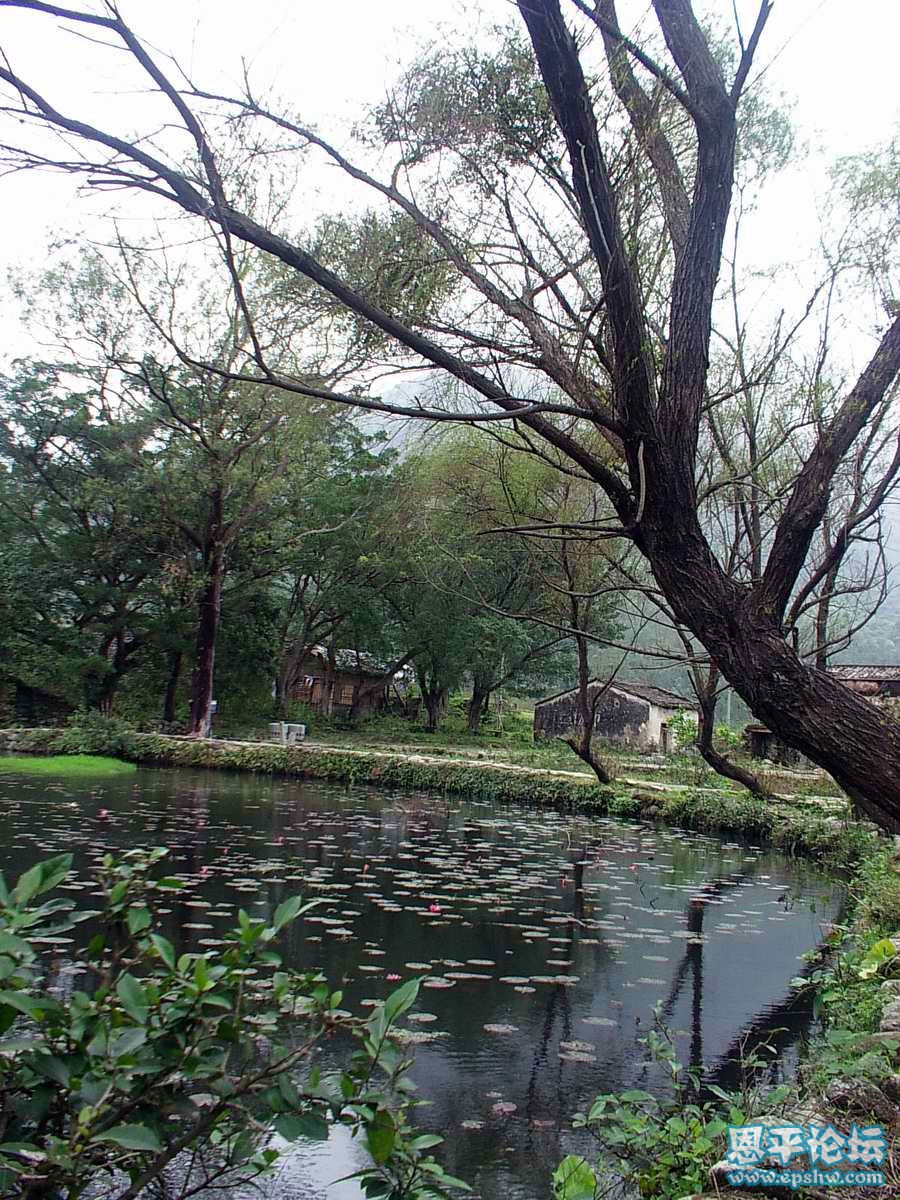 58.jpg