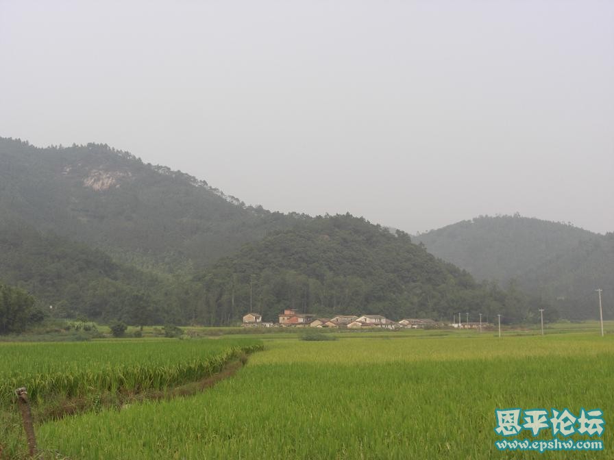 ������Դ��ļ�ˮ���