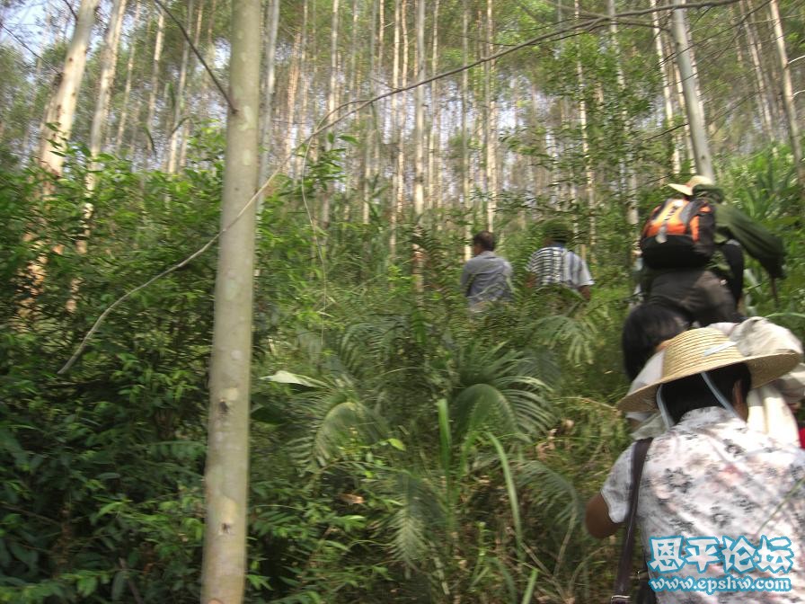 �˵�ɽǰ����·