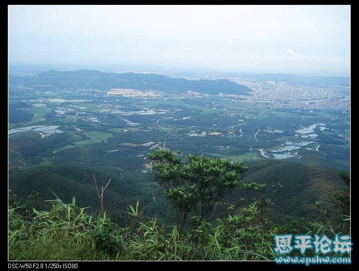nEO_IMG_DSC00381.jpg
