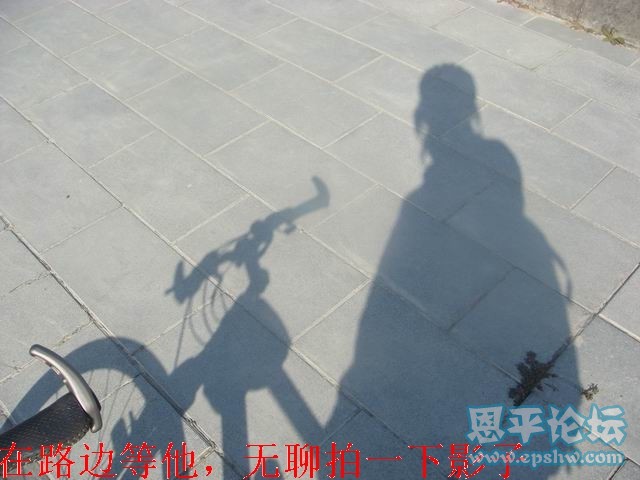DSC03843.JPG