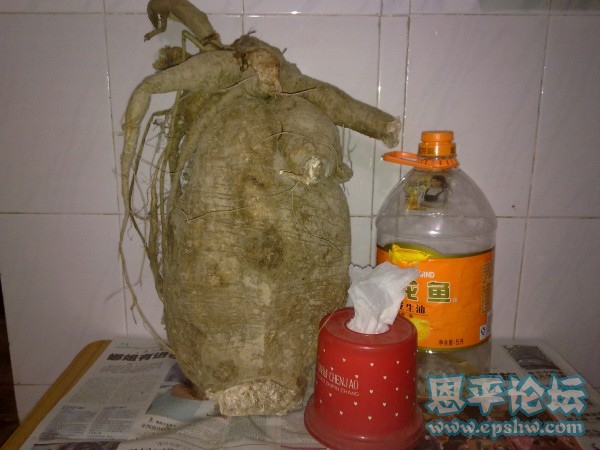20110122130~1.jpg