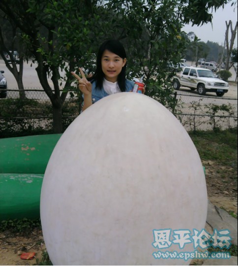 QQ截图未命名.jpg