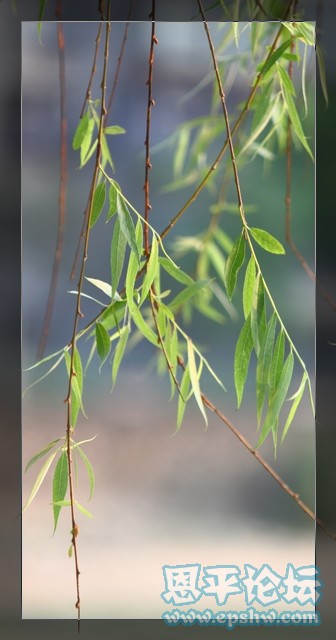 nEO_IMG_IMG_6116.jpg