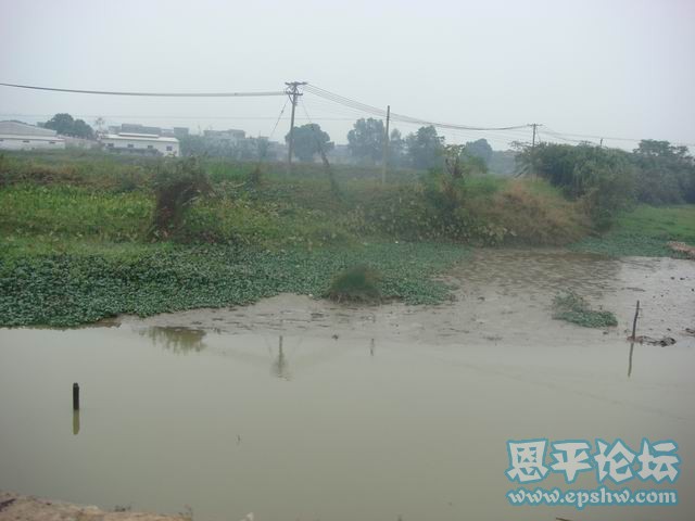 DSC04140.JPG